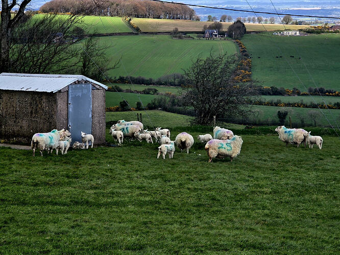 2e14a381-f4df-4a53-8316-c58f8edda544