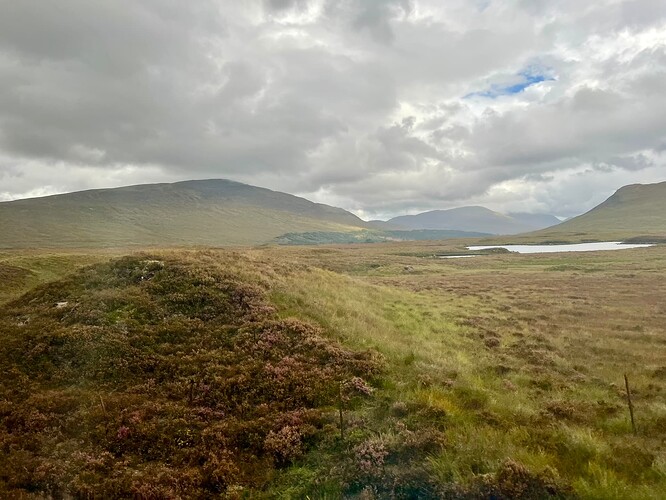 Beinn na Lap from the train