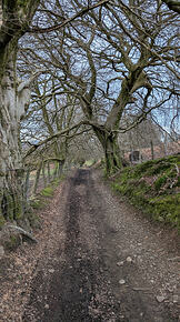 PXL_20260302_160224933.MP