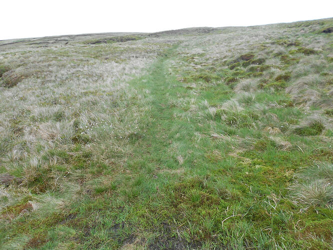 NP16 Dodd Fell, 29-05-26 (7)