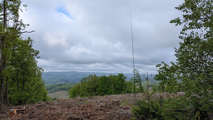 PXL_20250504_064459828