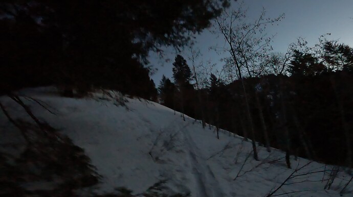 still-dark