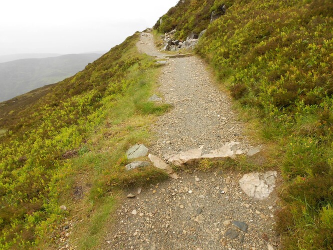 CS5 SCHIEHALLION, 17-06-24 (12)