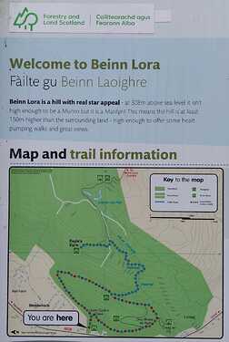 GM7STP-GMWS336-Photo-02