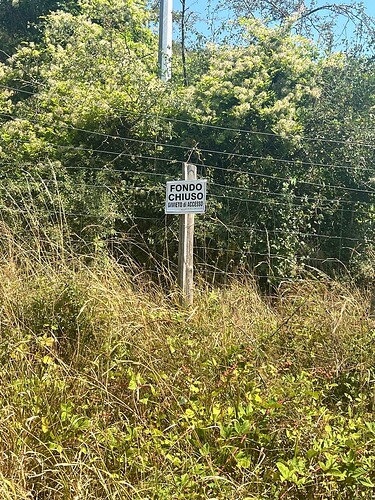 photo_2_2025-08-16_17-36-39