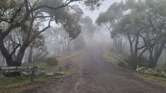 MVO road toward Mt Ida summit.
