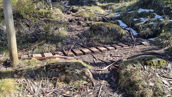Wooden drain across track to reduce erosion.