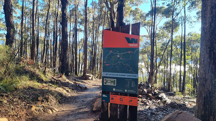Mt Little Joe summit junction board.