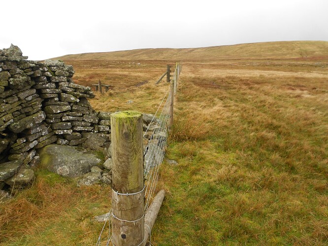 NP6 Gt.Shunner VHF, 22-10-25 (5)