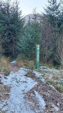 GM7STP-GMSS027-Photo-03