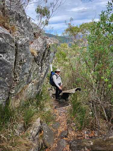 Resting partway down