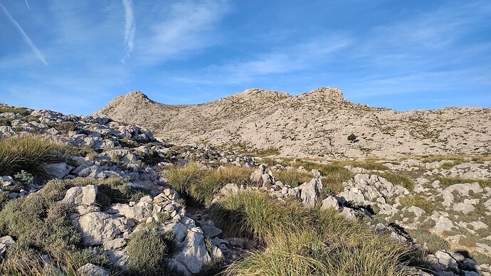 IMG_20221226_091640315_HDR