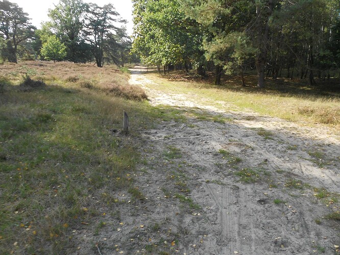 PA6 Signaal Imbosch SOLO, 24-09-25 (10)