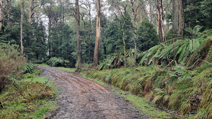 Mud hole 40m from destination.