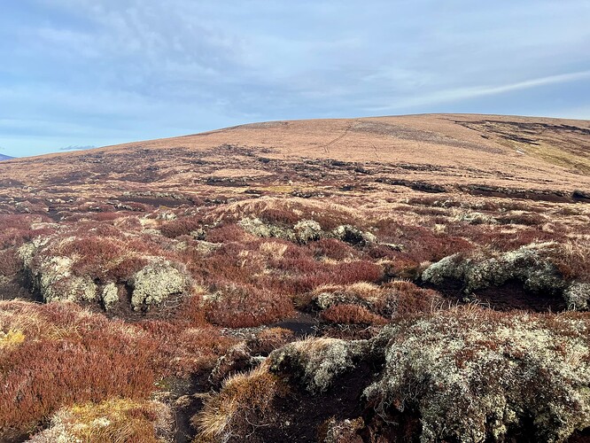 Peat Hags!
