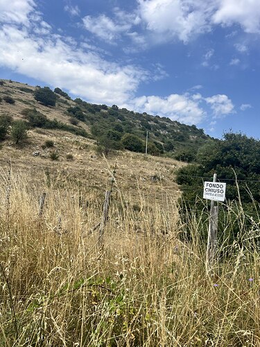 photo_8_2025-08-16_17-36-39