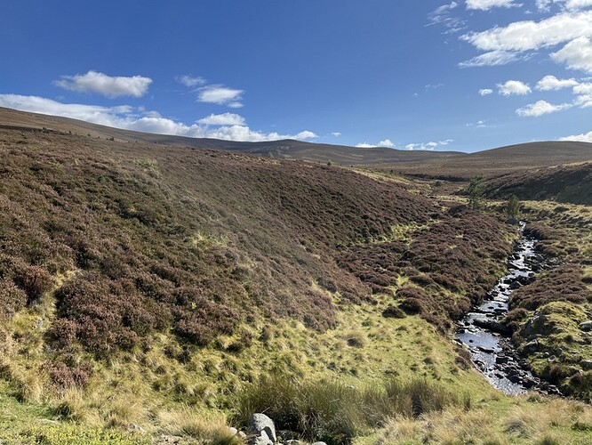GM/ES-036 Gellaig Hill from near parking