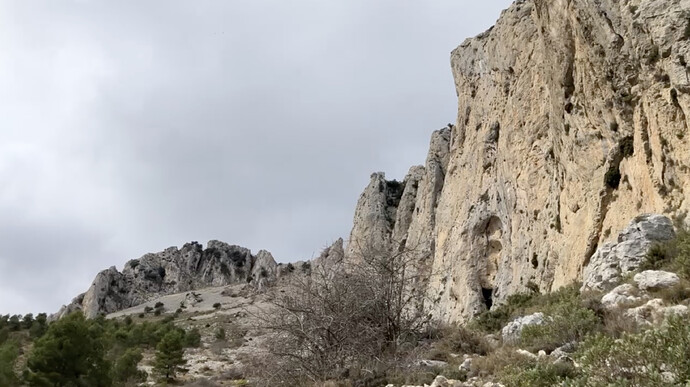 Screenshot 2026-02-07 at 11.24.53