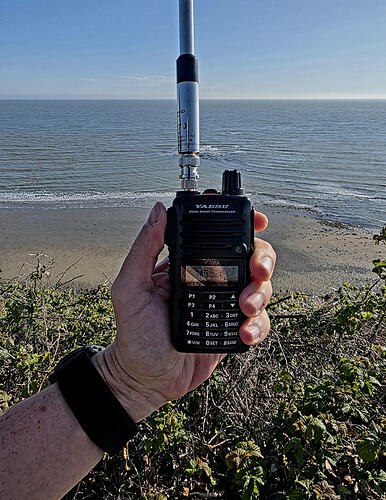 de3d843b-ca32-4ab4-969b-3441e9d69ad3