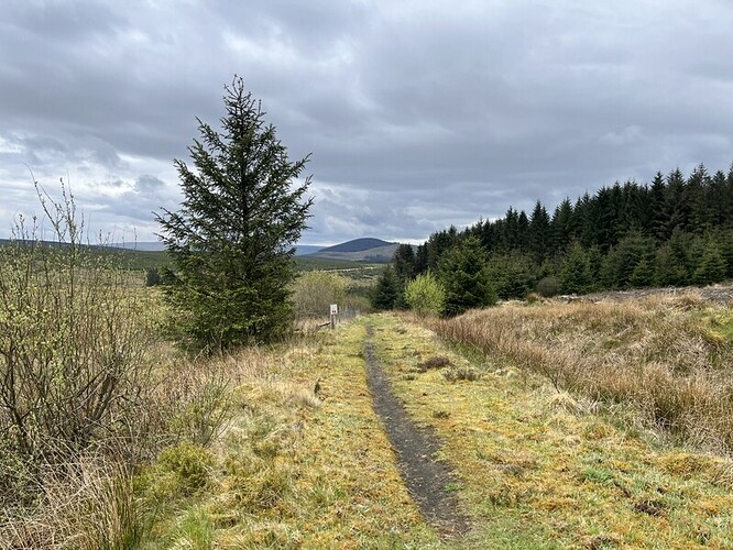 Nice "viewpoint" path