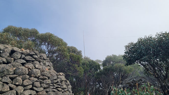 Inverted L antenna set on the 6m squid pole.