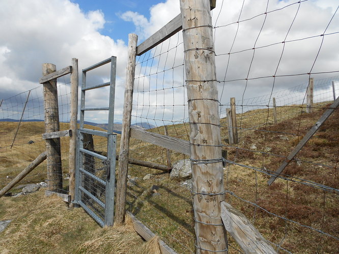 SS29 Broad Law, 18-05-21 (19)
