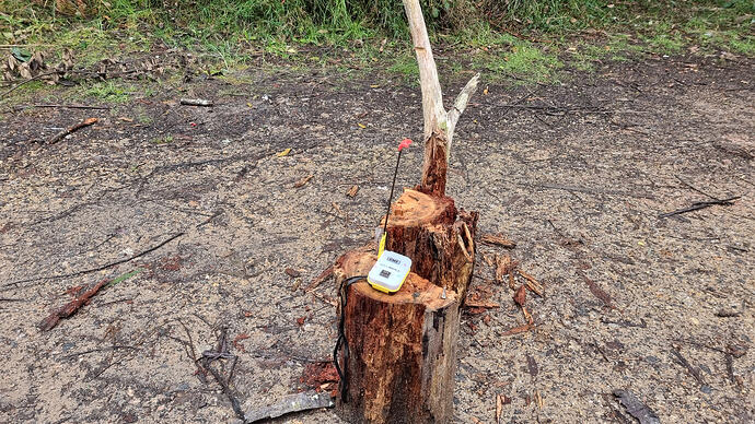 PLB testing before starting to hike.