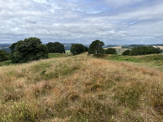 2G/WB-014 Burrow summit and hillfort views