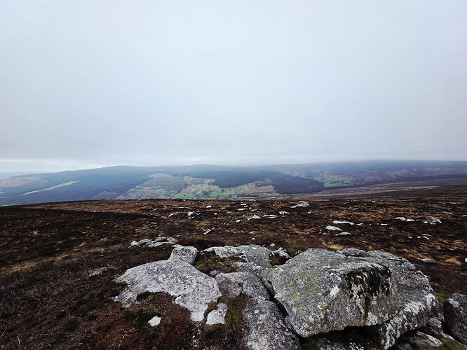 4a8656f2-307a-428c-85cf-c955e9e555c2