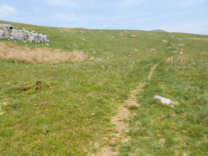 NP7 Ingleborough, 27-05-26 (5)