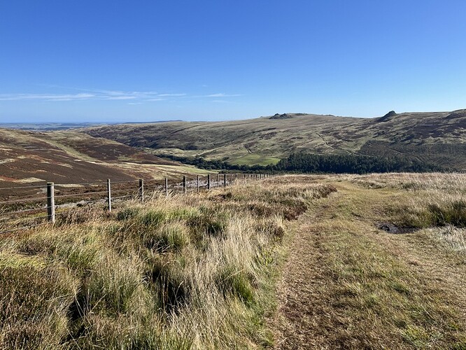 Ascending The Cheviot G/SB-001 - grassy path