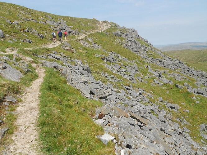 NP7 Ingleborough, 27-05-26 (22)
