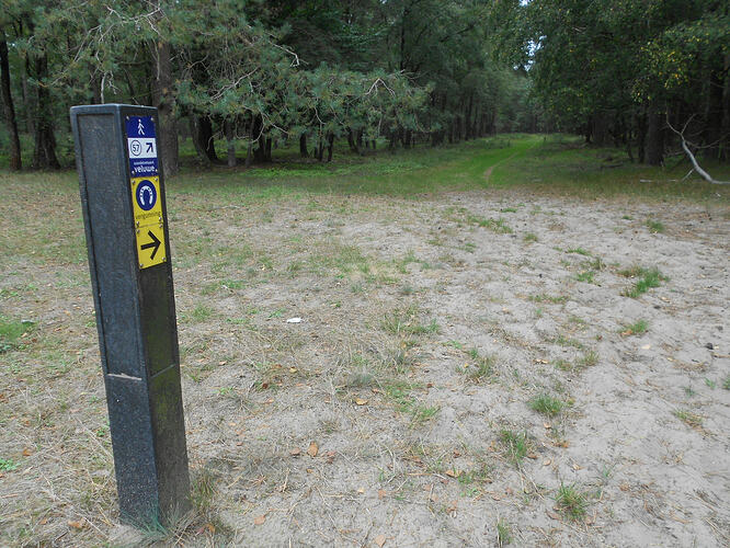 PA6 Signaal Imbosch SOLO, 22-09-26 (6)