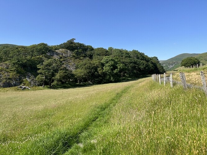 Castell y Bere