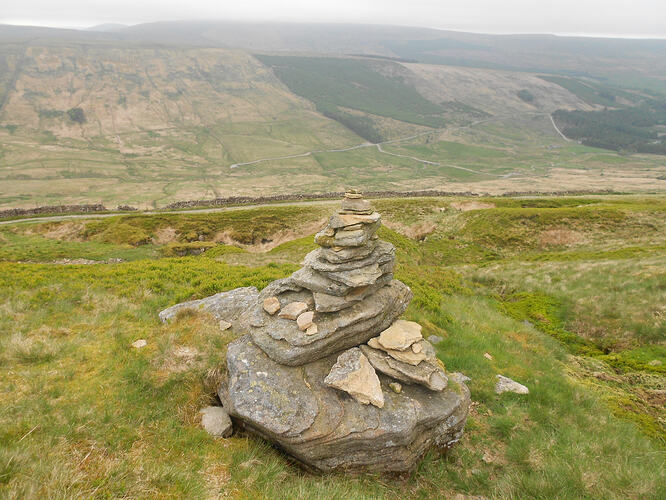 NP16 Dodd Fell, 29-05-26 (25)