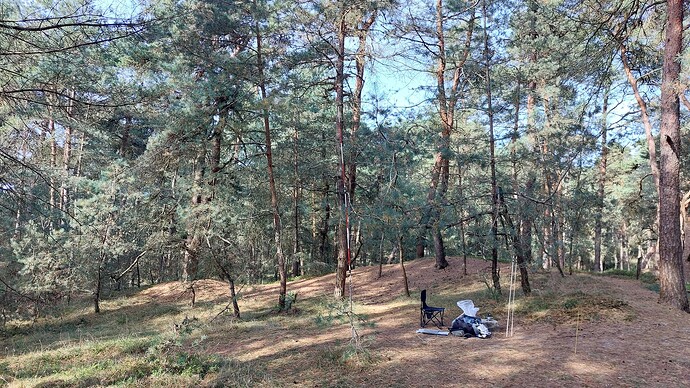 20250924_153558 PA6 (phone)