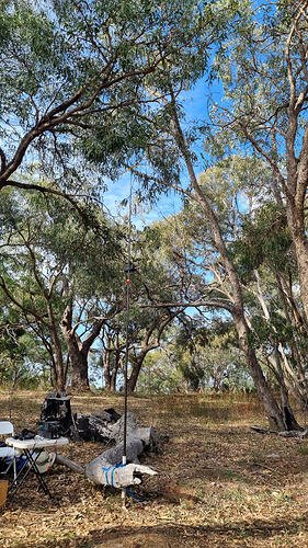 Hourglass antenna strapped to log.