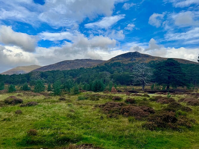 Sunny in the Cairngorms