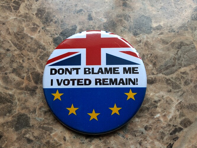 Remainer badge