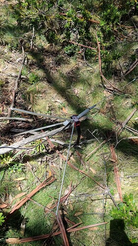 Dual band ground plane antenna