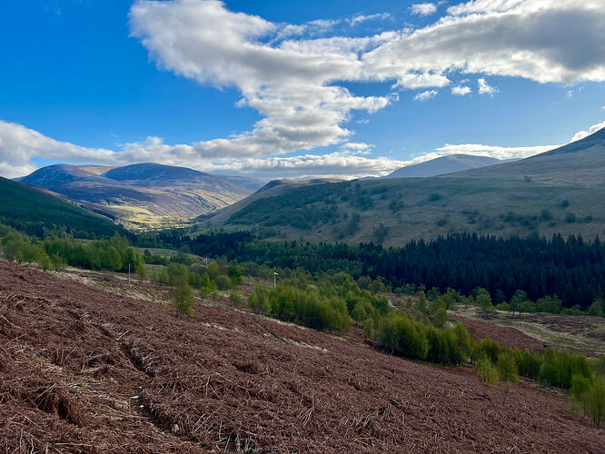 A nice morning in Glen Tilt
