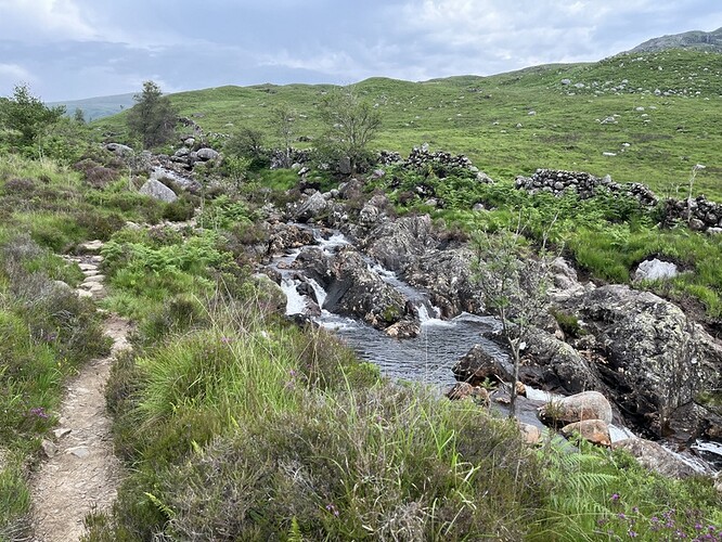 Ascending by the burn
