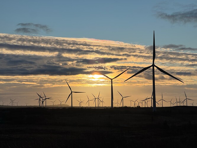 Silhouetted wind turbines against a rising morning sun
