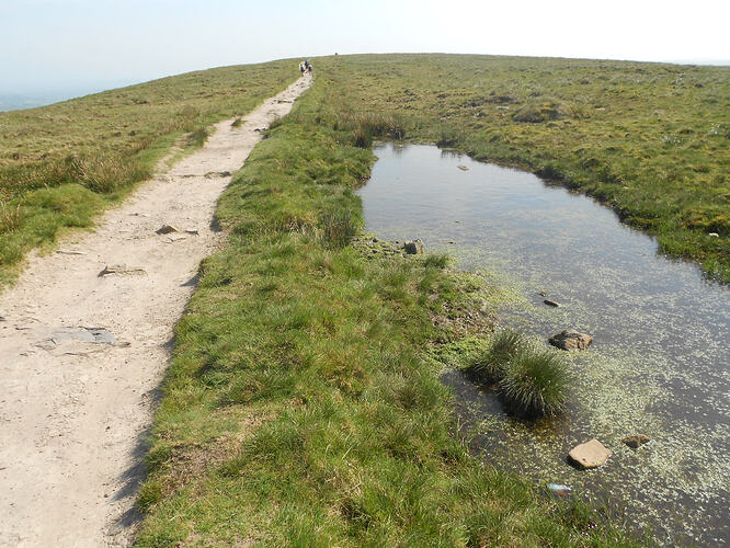 NP7 Ingleborough, 27-05-26 (44)
