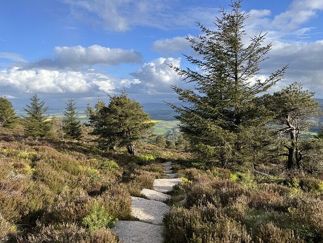 Descending Millstone Hill