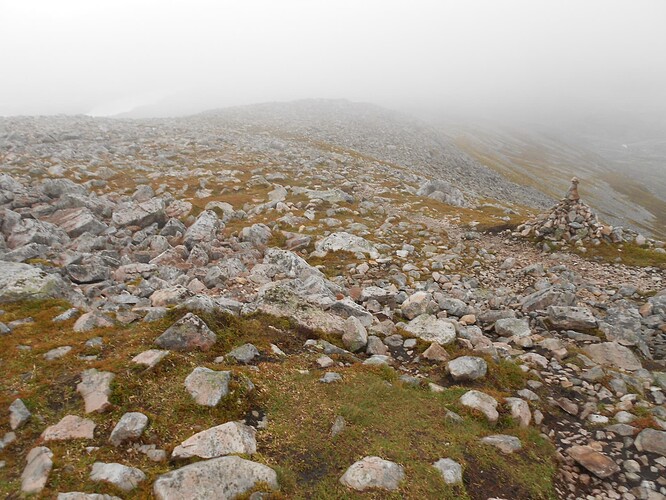 CS5 SCHIEHALLION, 17-06-24 (47)