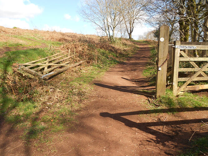 CE2 Walton Hill, 26-03-26 (5)