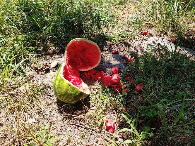 0a501f9aef9819a0659f09e79ac8d794e669b417