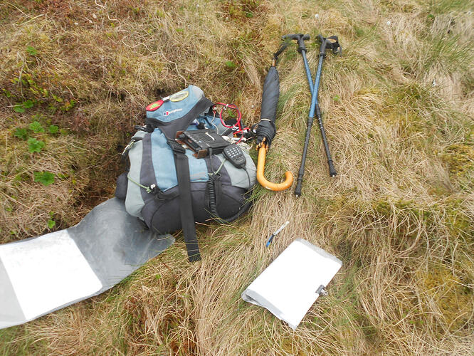 NP16 Dodd Fell, 29-05-26 (14)