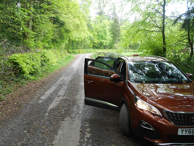 SS214 Eildon Mid Hill, 23-05-21 (40)